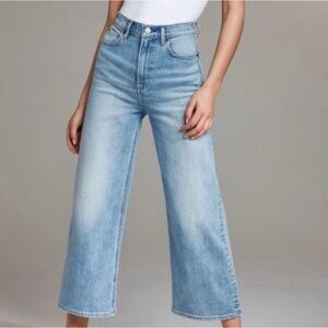 🎉HP Aritzia Denim Forum the Joan Wide Leg